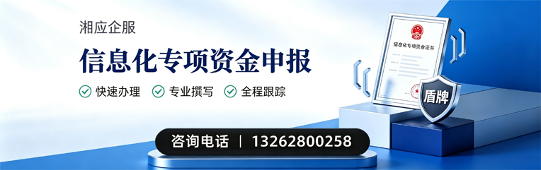 嘉兴信息化专项资金申报服务
