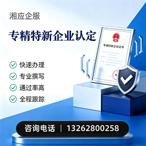 嘉兴专精特新企业申报服务