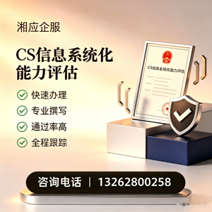 嘉兴CS信息系统化能力评估申报服务