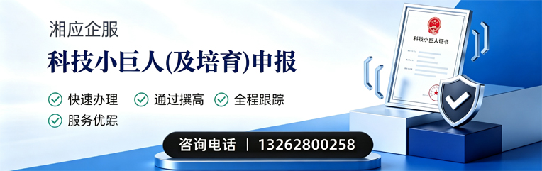 嘉兴科技小巨人及培育企业申报服务