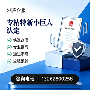 嘉兴专精特新小巨人申报服务