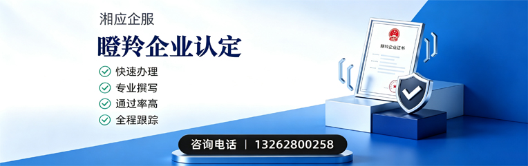 嘉兴瞪羚企业认定申报服务