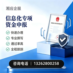 嘉兴信息化专项资金申报服务