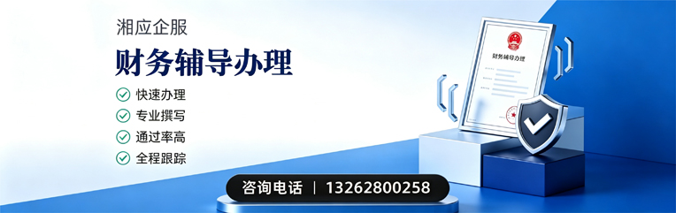 嘉兴财务辅导申请服务
