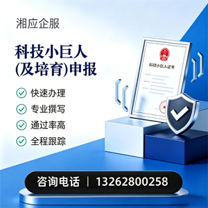 嘉兴科技小巨人及培育企业申报服务