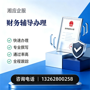 嘉兴财务辅导申请服务