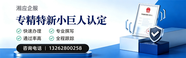嘉兴专精特新小巨人申报服务